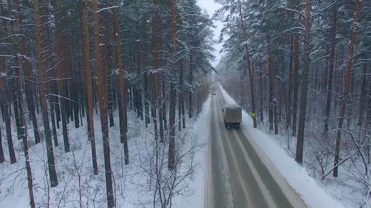 Snowy Forest Road with Vehicles
