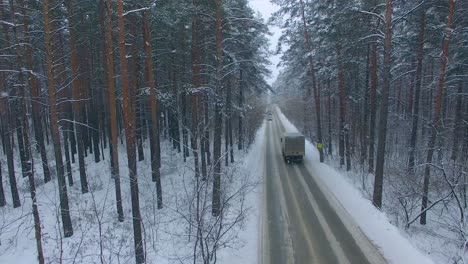 snowy forest road with vehicles
