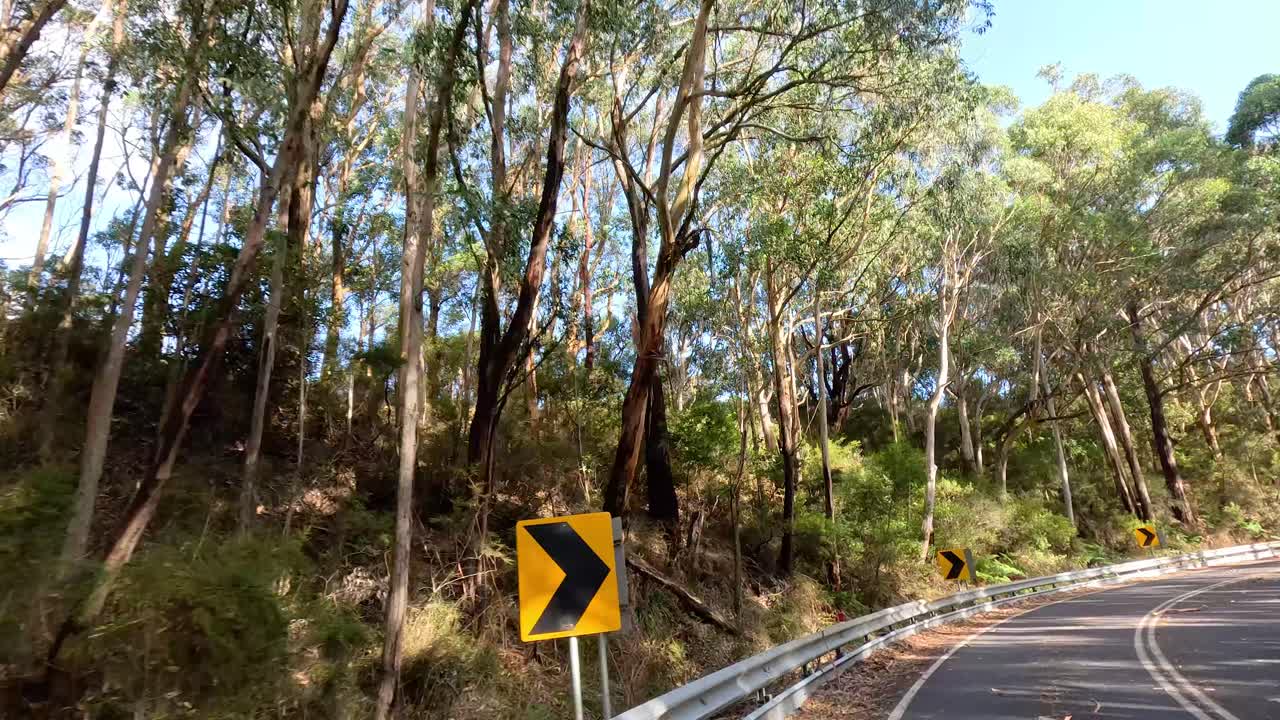 울창 한 숲 을 가로질러 휘어지는 길