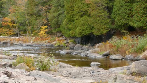 Small-bay-forming-at-a-river's-shoulder-at-the-perfect-time-of-the-fall-season