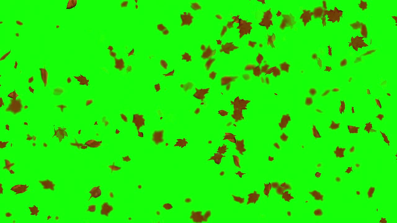 떨어지는 잎의 애니메이션 루프 가을