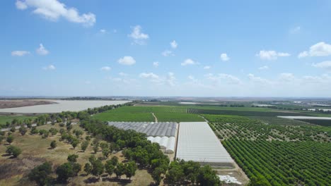 Campos-En-El-Asentamiento-De-Sdot-Negev,-Israel