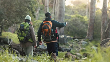 hiking, back and couple outdoor on a forest path