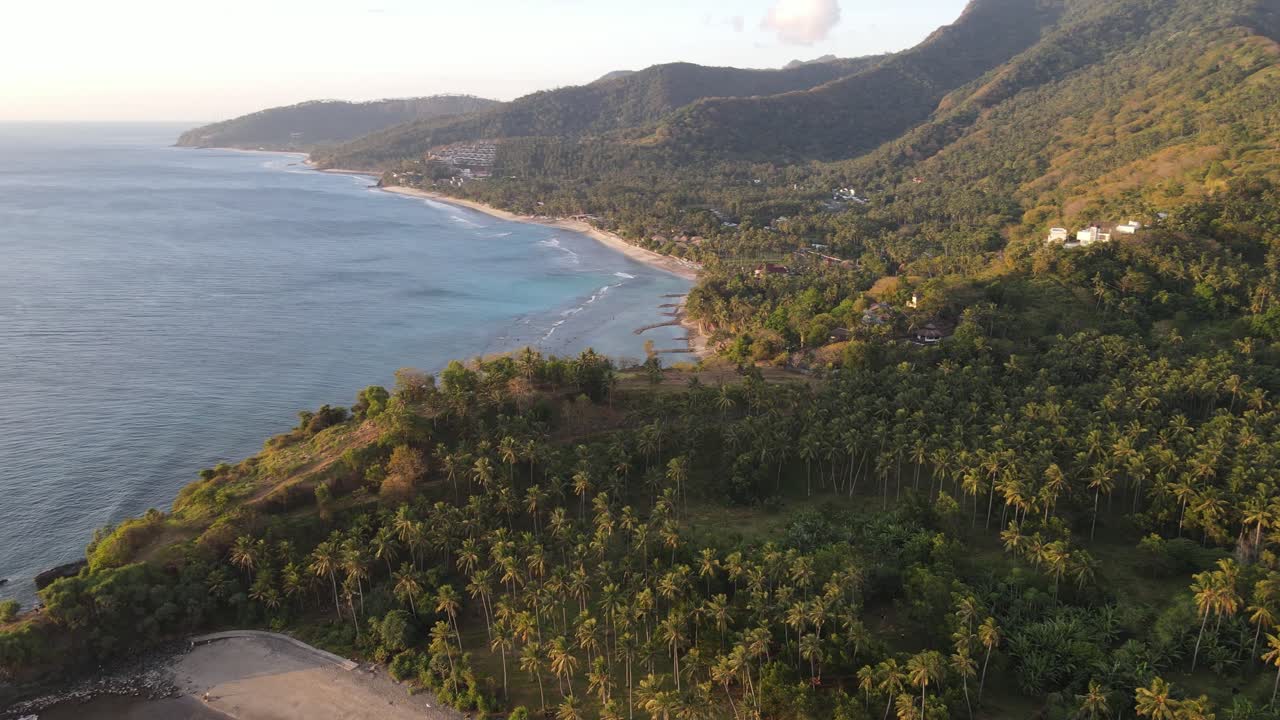 Vista aérea de una costa tropical con palmeras y montañas