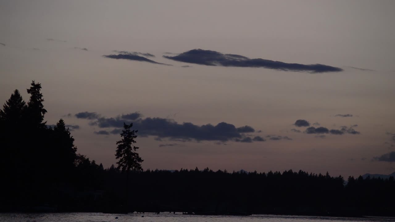 골든 아워, 소나무 실루엣, 일몰 동안 반짝이는 물, 주황색 빛, 반사