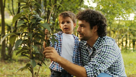 nahaufnahme. porträt eines kleinen jungen und seines vaters, die einen baum pflanzen. vater erklärt etwas seinem sohn. sie berühren die äste. verschwommener hintergrund