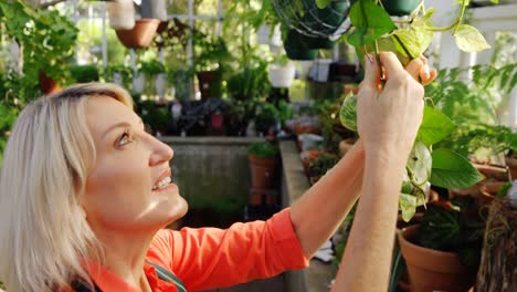 mature woman checking plant