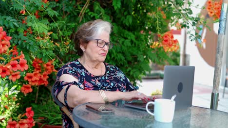 aged female using laptop at table near plants