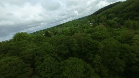 landscape overview flight in dynamic fpv drone shot over lush forest meadows of hyeres valley, britain, france,