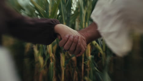 pareja de manos en un campo