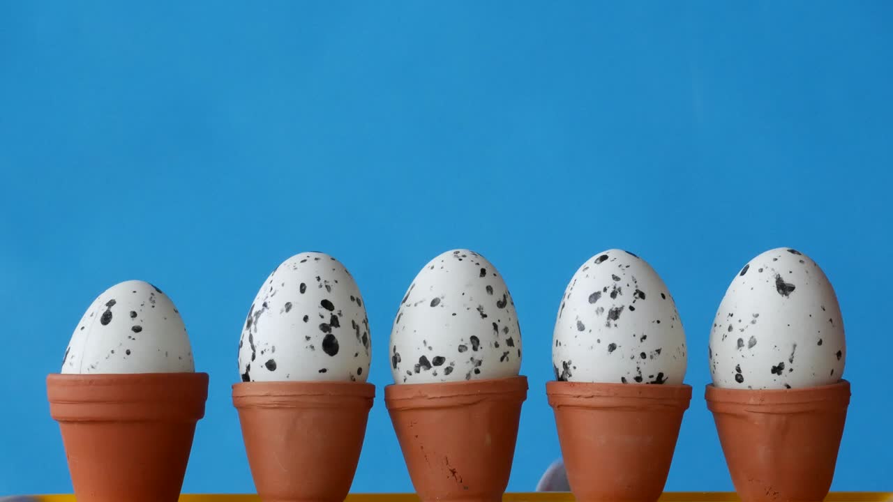 부활절 토끼는 꽃비 뒤에 숨어 있고 알을 낳고 있어요.