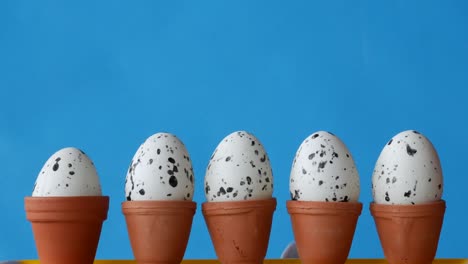 easter bunny is hiding behind flower pots with set eggs.