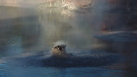 Rotorua-mud-pool-in-New-Zealand,-geothermal-activity-with-exploding-mud