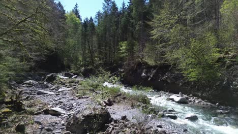 4k aerial drone flight over beautiful mountain river surrounded by forest