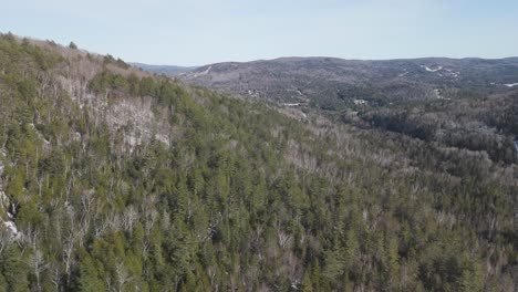 aerial of pine tree forest and natural landscape in saint-côme lanaudière region of quebec canada