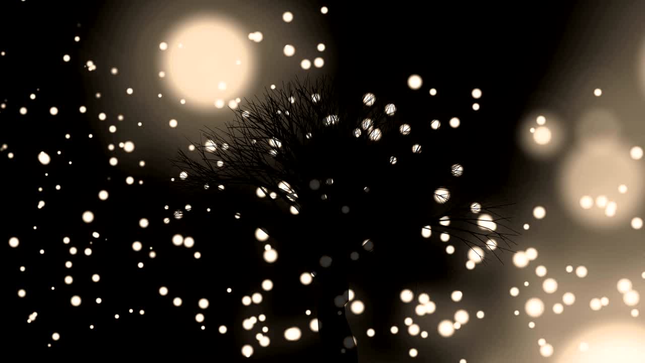 백색 반이는 반점이 배경에 있는 나무의 실루에 반하여 움직입니다.