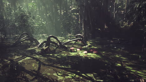 serene swamp with greenery and water lilies illuminated by sunlight