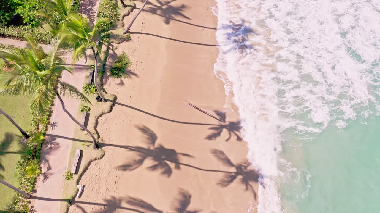 las olas chocan en la playa tropical del caribe con las sombras de las palmeras, aérea