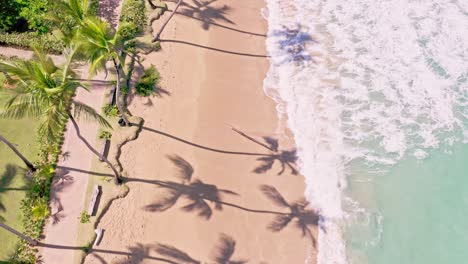 waves crash on tropical caribbean beach with palm tree shadows, aerial