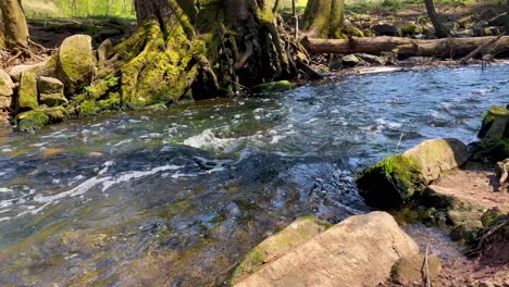 Arroyo-Que-Fluye-Continuamente-A-Través-Del-Parque-En-Un-Día-Soleado-De-Verano-En-Baviera,-Alemania