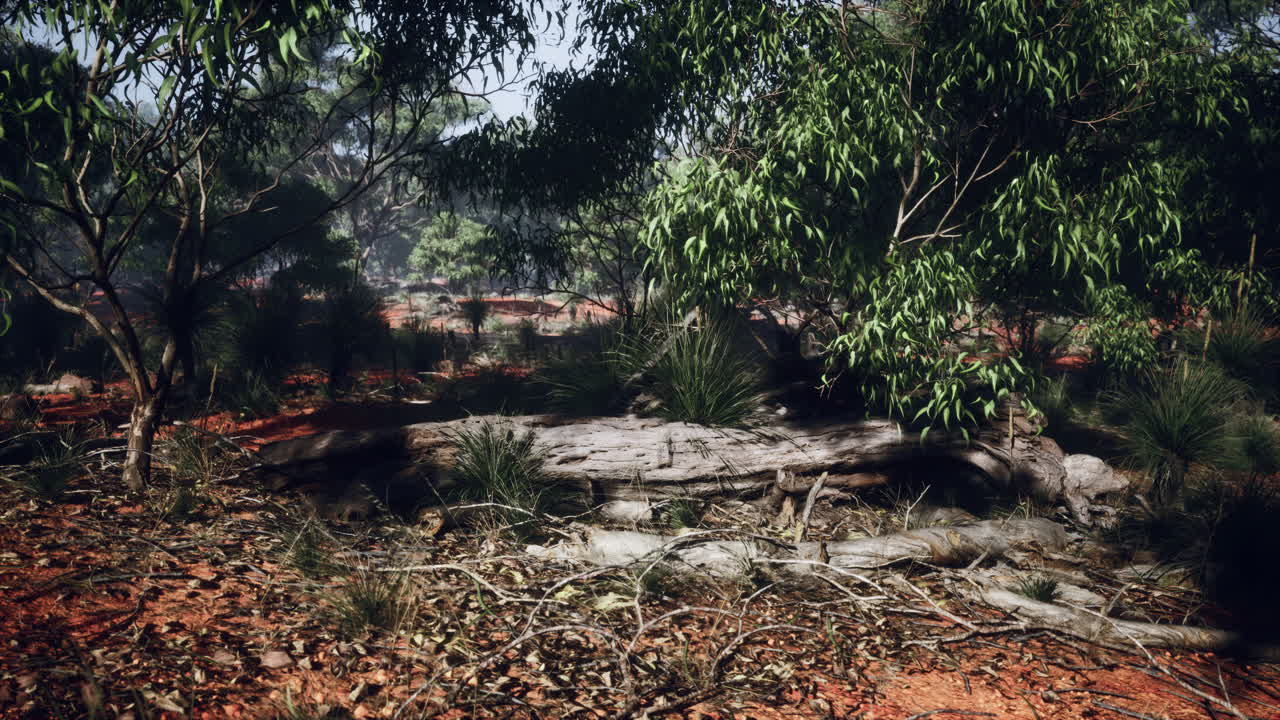 서부 오스트레일리아 의  ⁇ 버리 지역