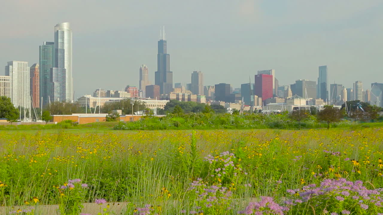남자는 시카고 근처 공원을 통해 산악 자전거를 탄다 1