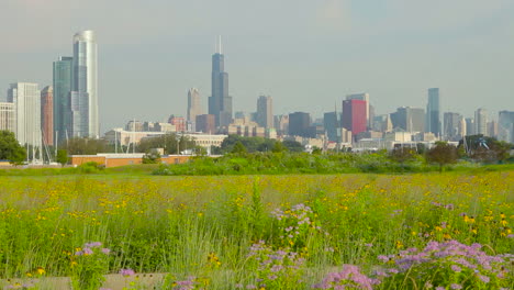 Ein-Mann-Fährt-Mit-Dem-Mountainbike-Durch-Einen-Park-In-Der-Nähe-Von-Chicago-1