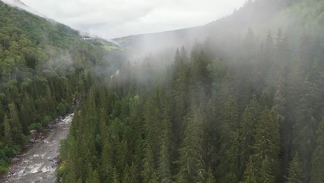 aerial view flying over serene forest valley covered in mist, with a flowing river weaving through lush trees and hills