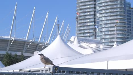 vancouver convention centre in canada place, vancouver, british columbia, canada - close up