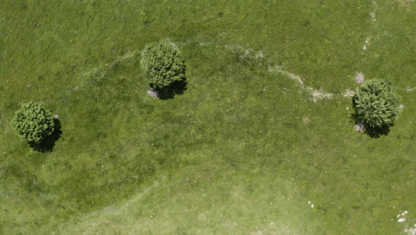 birdseye view over the low-lying foothills of the sierra de guadarrama in spain near manzanares el real