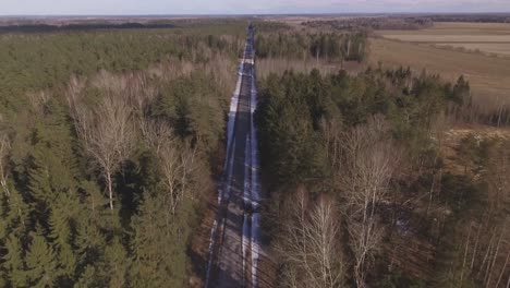 the road leads through the forest in winter