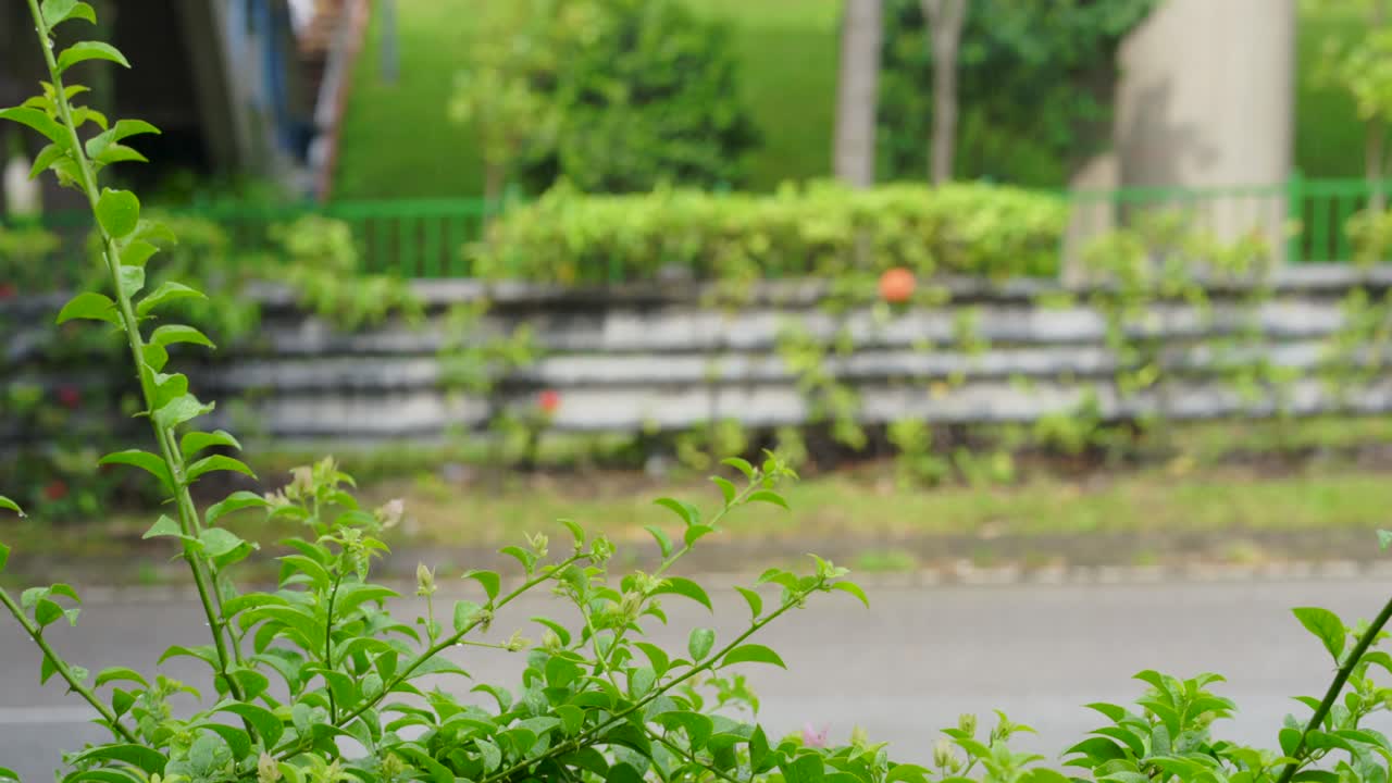 비가 오는 날에 싱가포르의 교통 도로