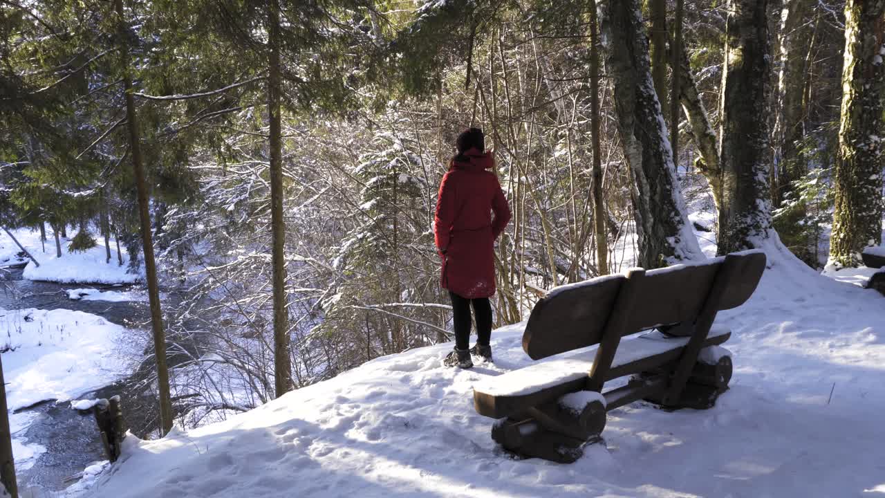 vista trasera de una mujer con abrigo rojo parada cerca del acantilado del río junto a un banco de madera durante el soleado día de invierno