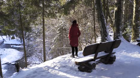 Rückansicht-Einer-Frau-Im-Roten-Mantel,-Die-An-Einem-Sonnigen-Wintertag-In-Der-Nähe-Einer-Flussklippe-Neben-Einer-Holzbank-Steht