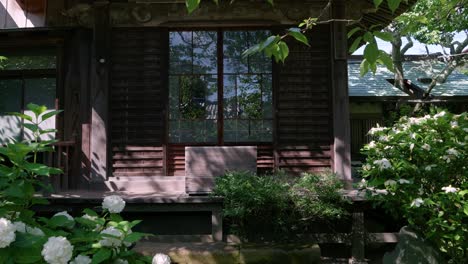 slow cinematic push in toward beautiful temple building with blooming hydrangeas