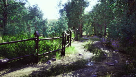 lush forest pathway along a wooden fence under bright sunlight in serene nature