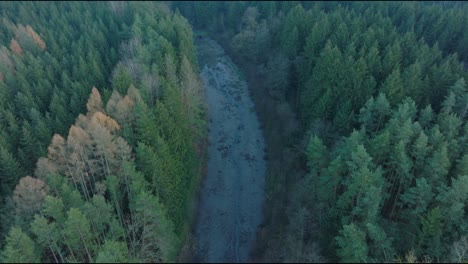 Luftdrohne,-Die-Sich-Während-Der-Morgenzeit-Vorwärts-über-Dichten-Grünen-Wald-Auf-Beiden-Seiten-Des-Trockenen-Flussbetts-Bewegt