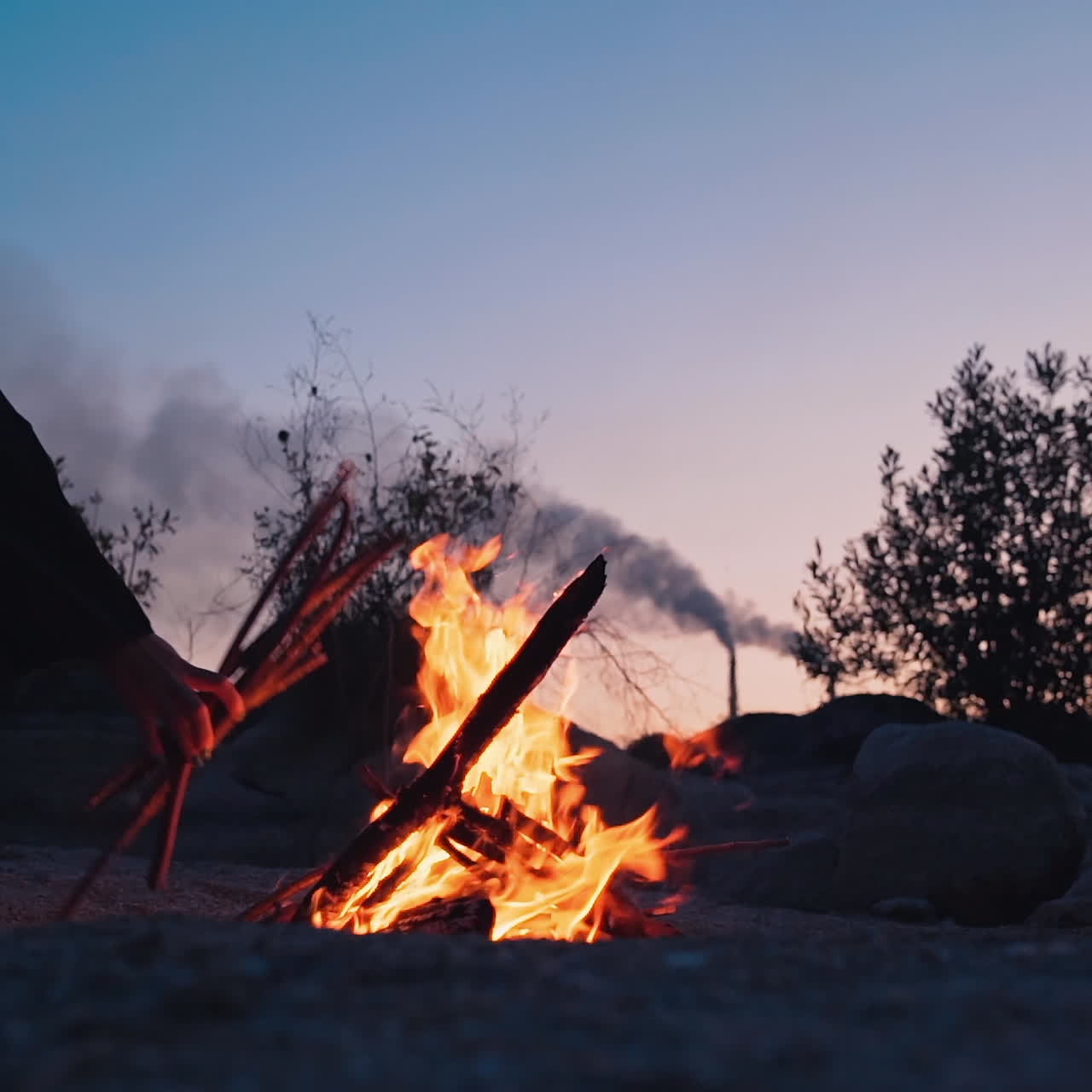 burning bonfire on a summer evening next to forest