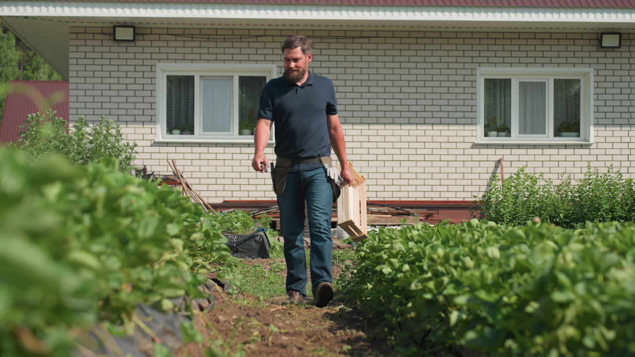 agronomist walking through farm near brick house carrying crate and pliers inspecting green crop rows assessing growth and health on sunny day