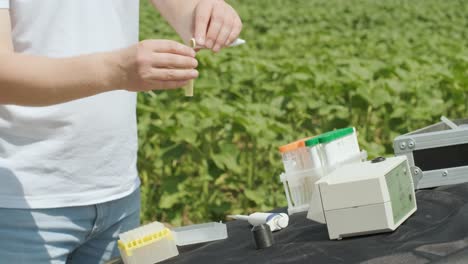 laboratory assistant conducting research on plants in the field