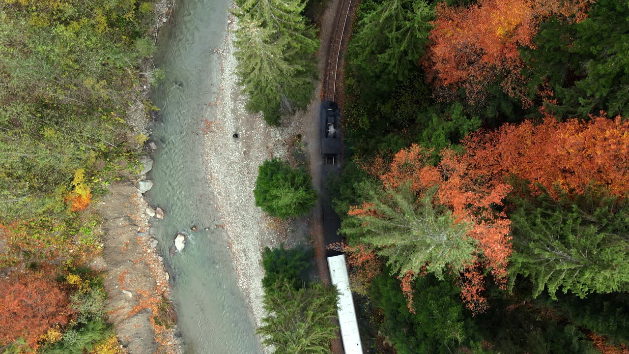 Aerial drone view of the moving steam train Mocanita in a valley along a river, hills covered with yellowing forest, Romania. Vertical view