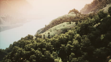 An-aerial-view-of-tropical-rainforest-in-the-morning-misty