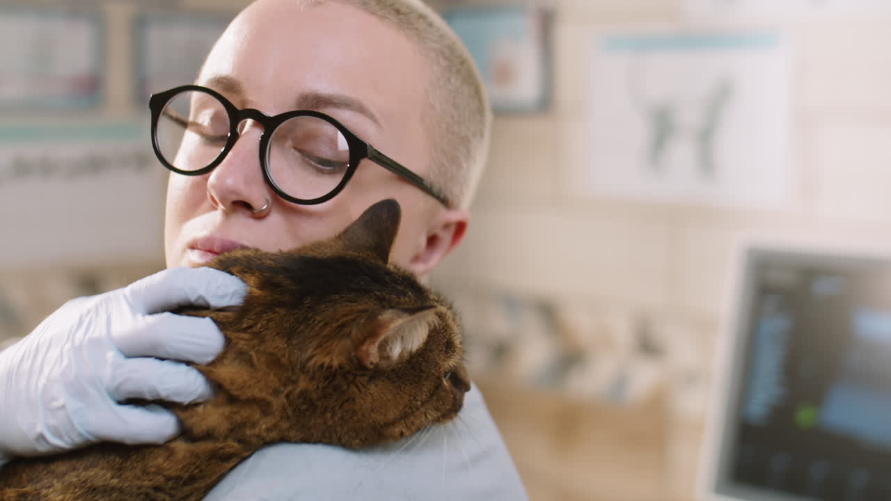 수의사 클리닉에서 여성 수의사 애완 고양이