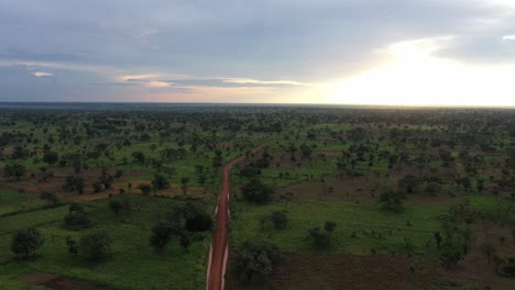 puesta de sol entre la vegetación verde natural