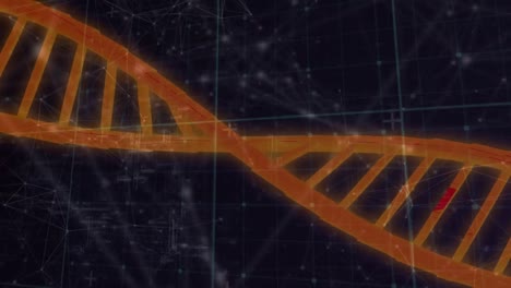 Animation-Von-DNA-Strukturen,-Die-Sich-über-Ein-Netzwerk-Von-Verbindungen-Vor-Schwarzem-Hintergrund-Drehen