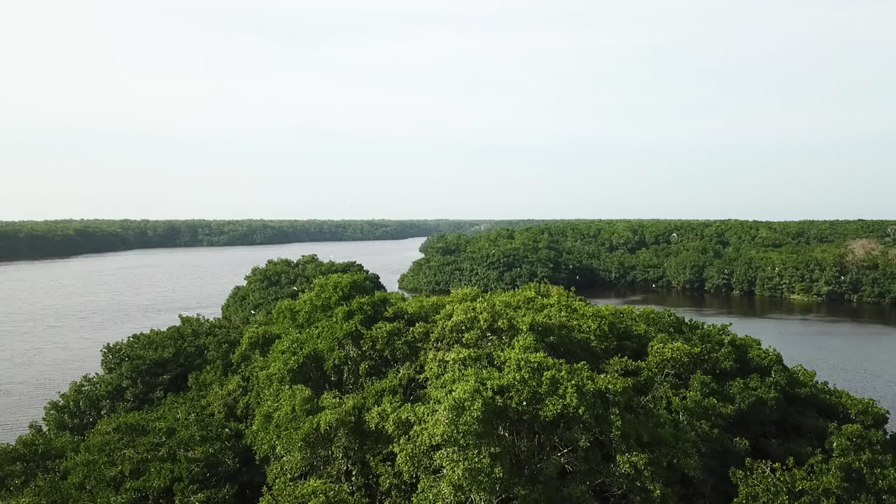 fotografía aérea volando sobre un río tropical serpenteante y un bosque en las islas rosario