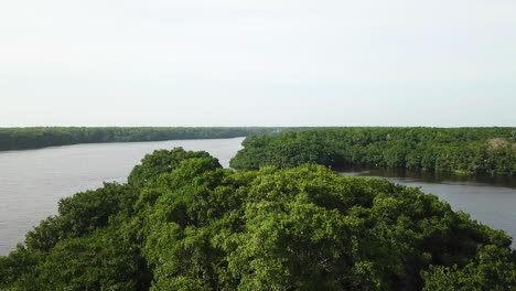 Luftaufnahme-über-Einem-Tropischen,-Sich-Schlängelnden-Fluss-Und-Wald-Auf-Den-Rosario-Inseln