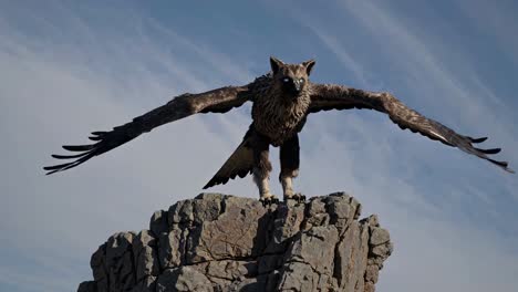 Mythical Griffon on a Rocky Peak