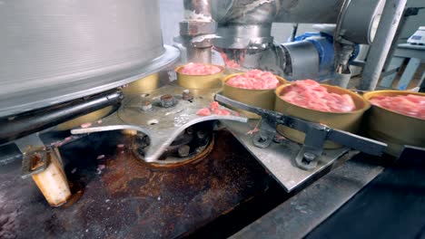 top view of tin cans filled with meat moving along the conveyor