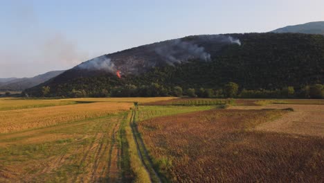Aerial-establishing-ascend-of-wildfire-in-forest-above-agricultural-fields
